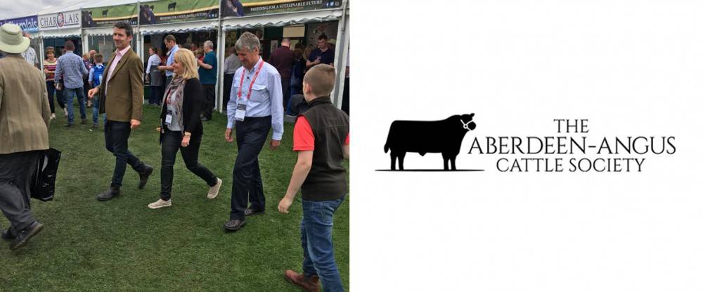 Aberdeen Angus Interview at the Royal Highland Show