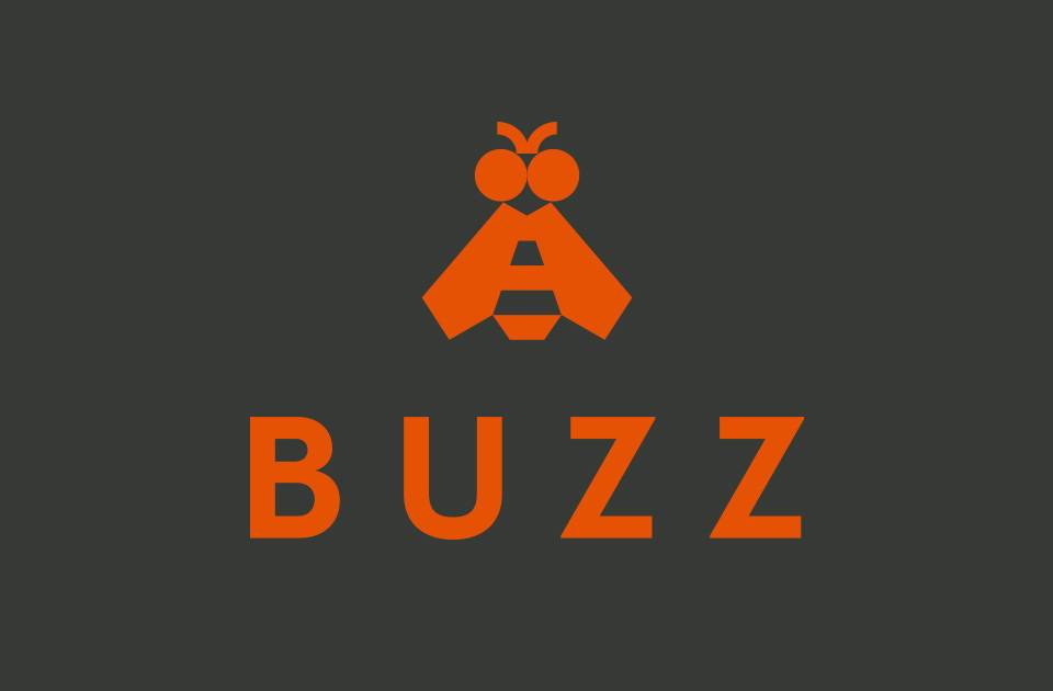 Buzz Case Study | Denvir Marketing
