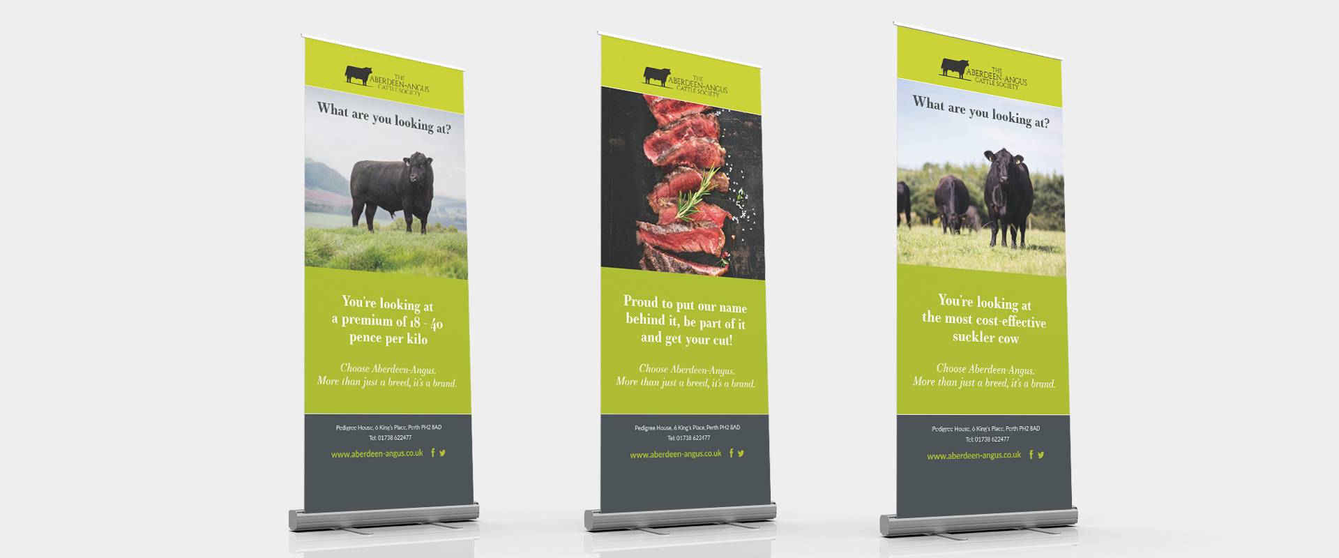 Aberdeen Angus Cattle Society Graphic Popups